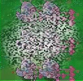 /uploadfile/2025/0226/20250226175556231.jpg