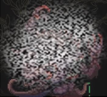 /uploadfile/2025/0318/20250318133725833.jpg