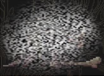 /uploadfile/2025/0318/20250318135316218.jpg