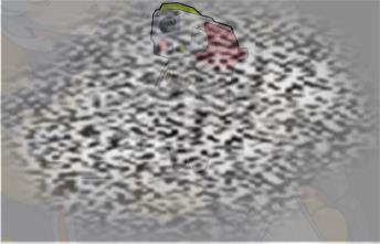 /uploadfile/2025/0319/20250319173829395.jpg