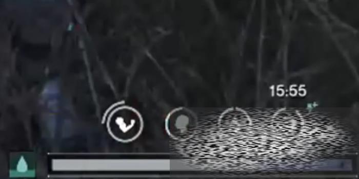 /uploadfile/2025/0319/20250319185522113.jpg