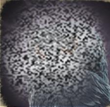/uploadfile/2025/0408/20250408151655180.jpg
