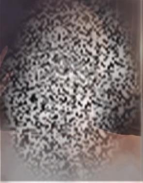 /uploadfile/2025/0408/20250408162202273.jpg
