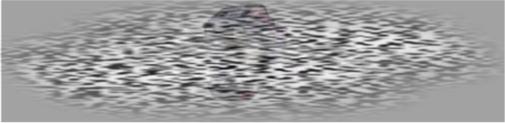 /uploadfile/2025/0417/20250417135502713.jpg